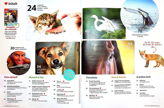 Herz für Tiere
