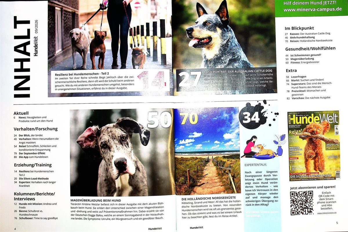 Hundewelt