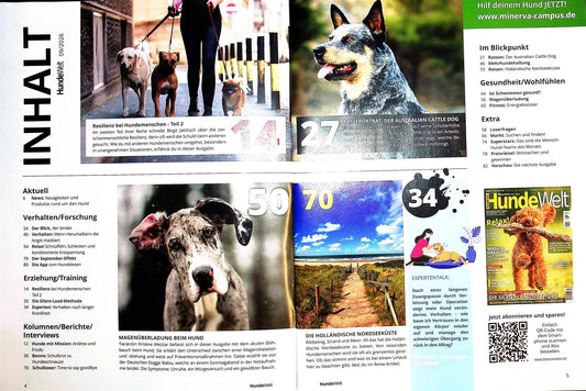 Hundewelt