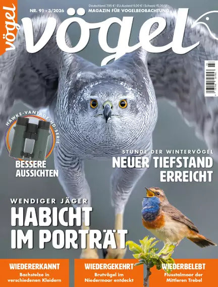 Vögel