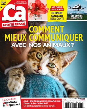 Ca m'interesse