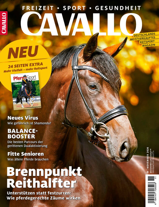 Cavallo