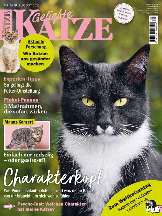 Geliebte Katze