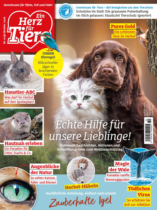 Herz für Tiere