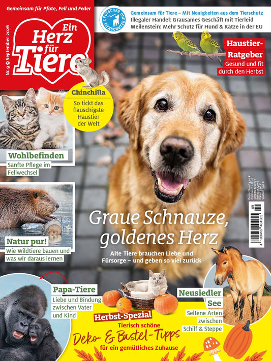Herz für Tiere