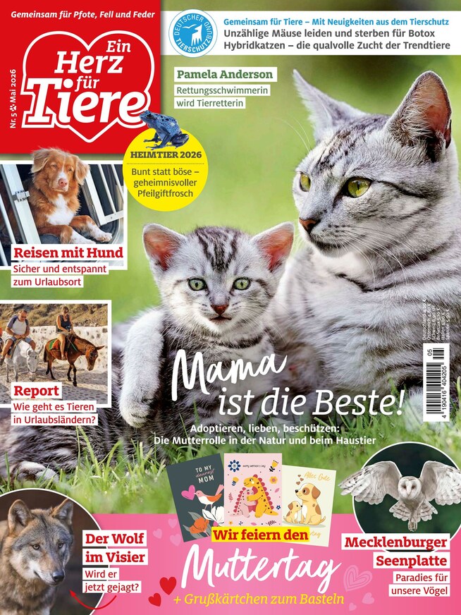 Herz für Tiere