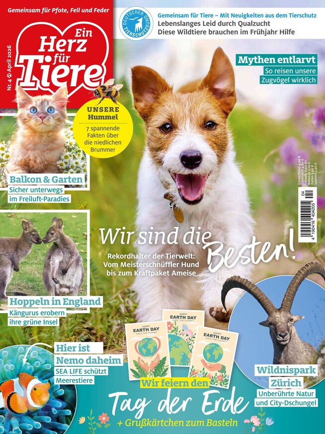 Herz für Tiere