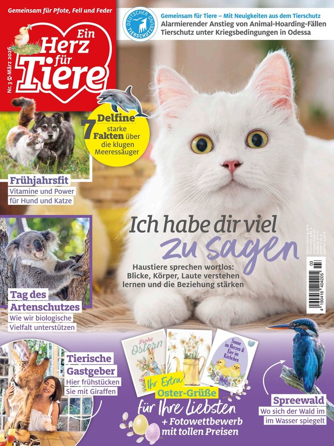 Herz für Tiere