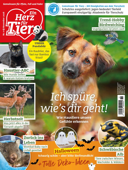 Herz für Tiere