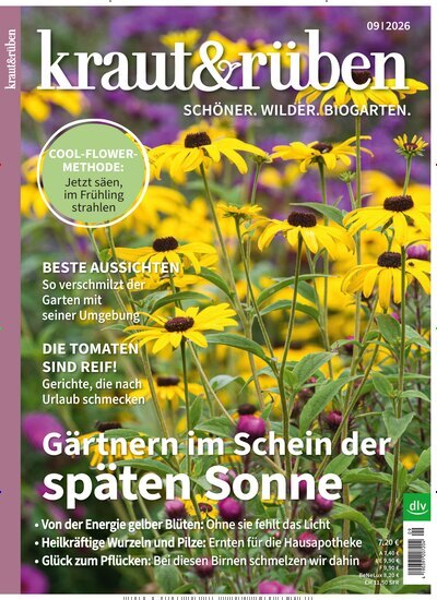 Kraut & Rüben