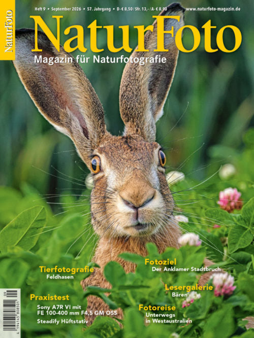 Naturfoto