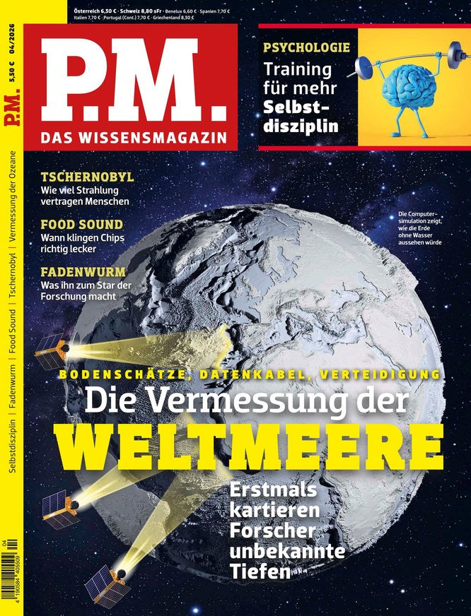 P.M. Magazin