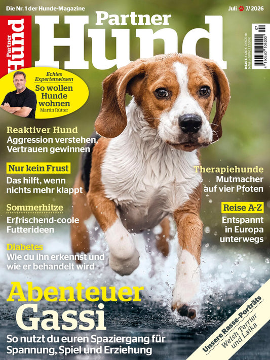 Partner Hund
