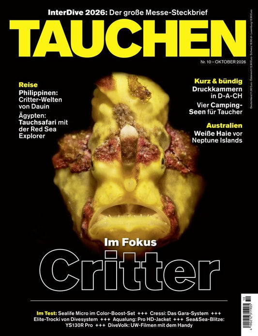 Tauchen