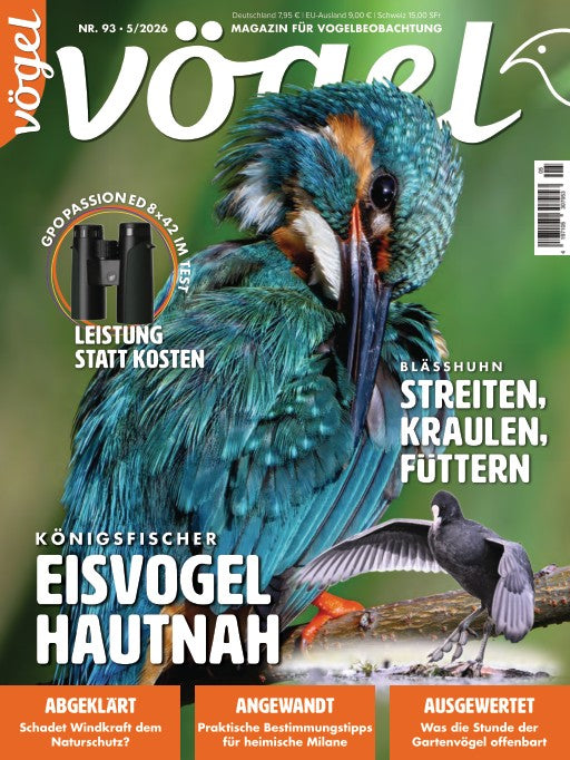 Vögel