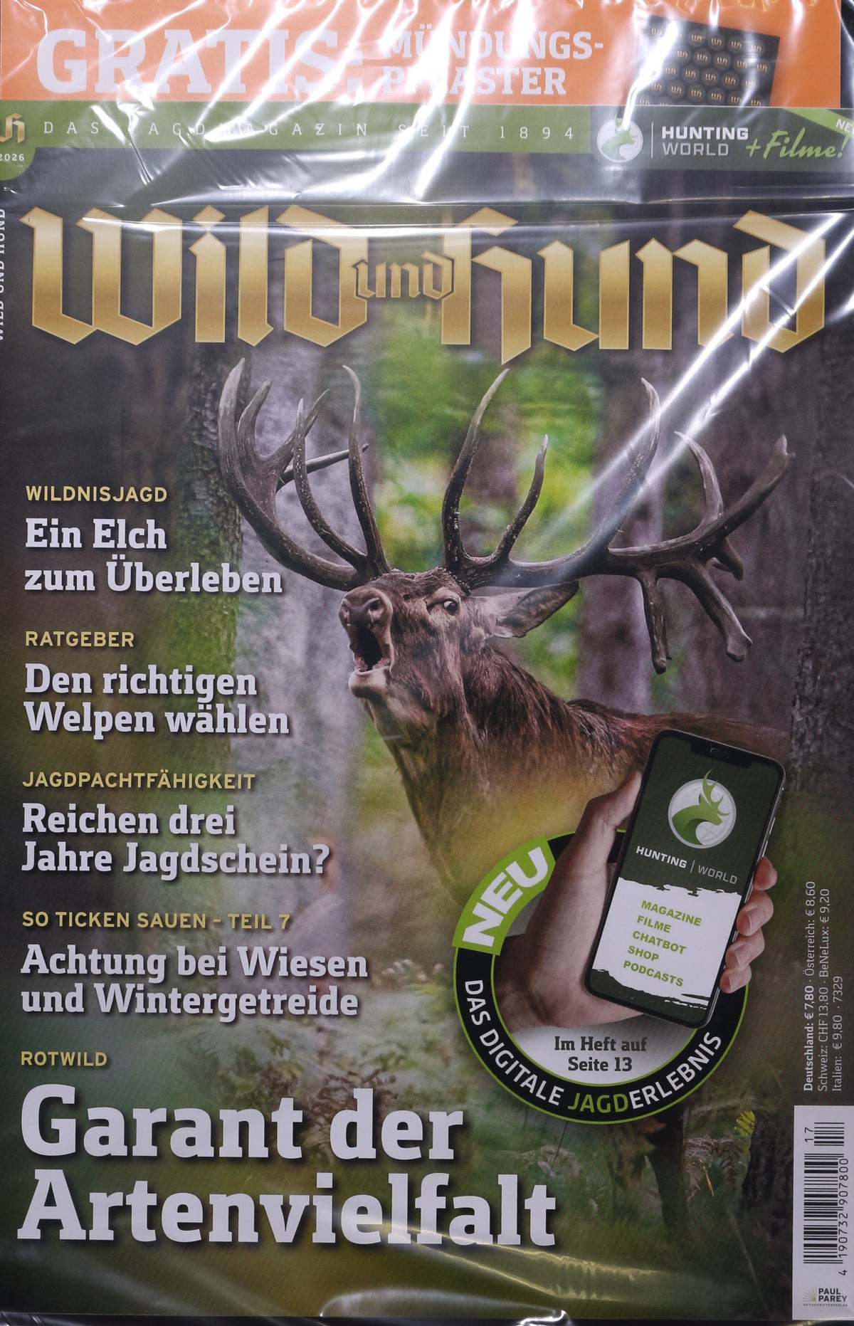 Wild und Hund