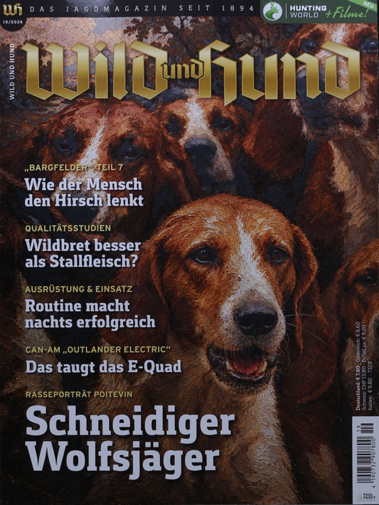 Wild und Hund