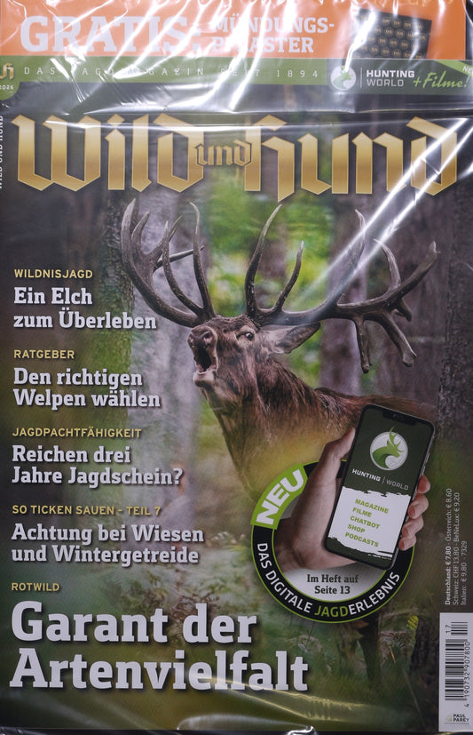 Wild und Hund